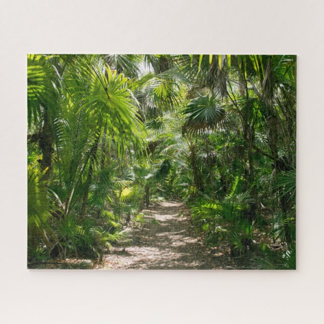 Forests Tropical Rainforest Tulum Mexico (Horizontal)