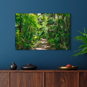 Forests Tropical Rainforest Tulum Mexico Leinwanddruck