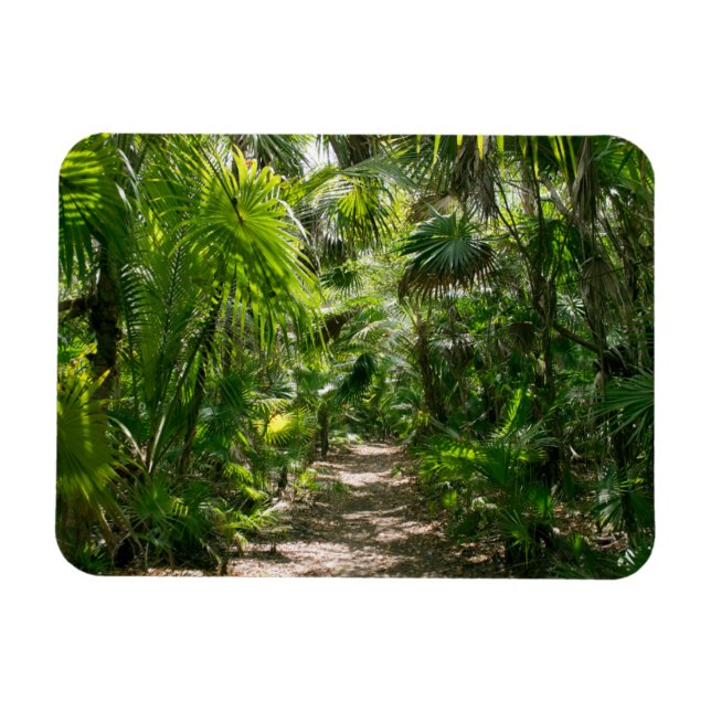 Forests Tropical Rainforest Tulum Mexico Magnet (Horizontal)