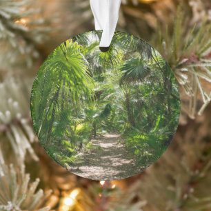 Forests Tropical Rainforest Tulum Mexico Ornament