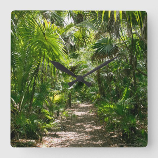Forests Tropical Rainforest Tulum Mexico Quadratische Wanduhr (Vorderseite)