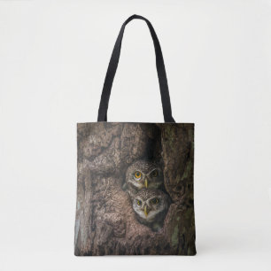 Forests Two Owls Looking Tasche
