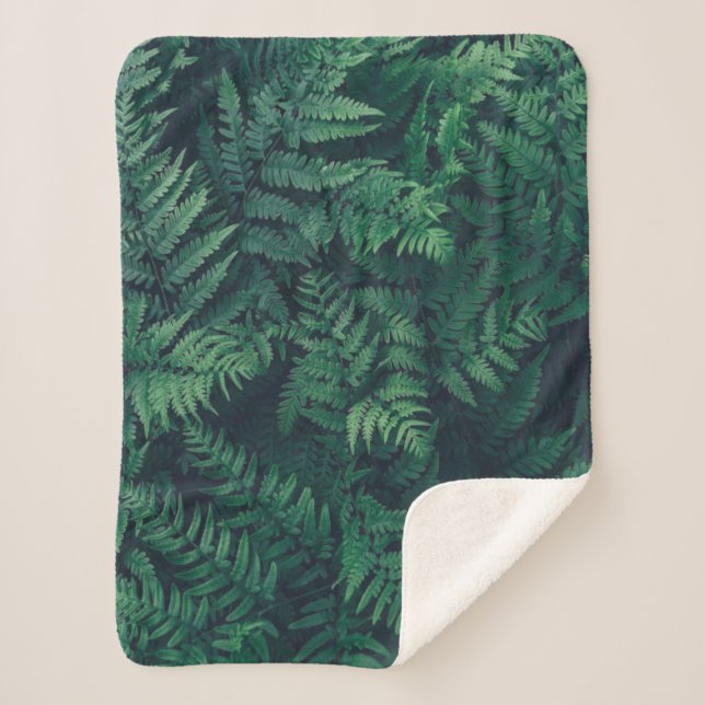 Forests | Woodland Ferns Sherpadecke (Vorderseite)