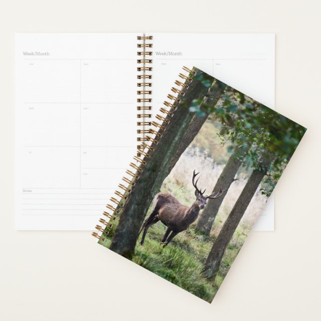 Forests Woodlands & Red Deer Planer (Anzeige)
