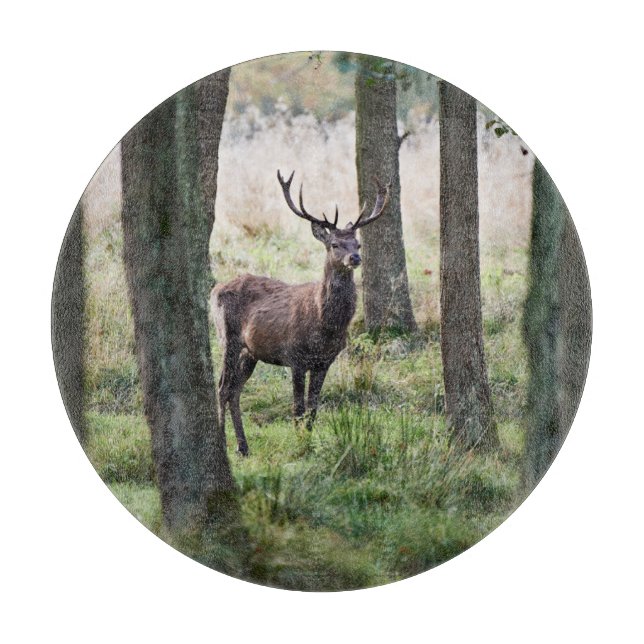 Forests Woodlands & Red Deer Schneidebrett (Vorderseite)