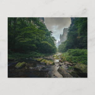 Forests   Zhangjiajie National Forest Park Postkarte