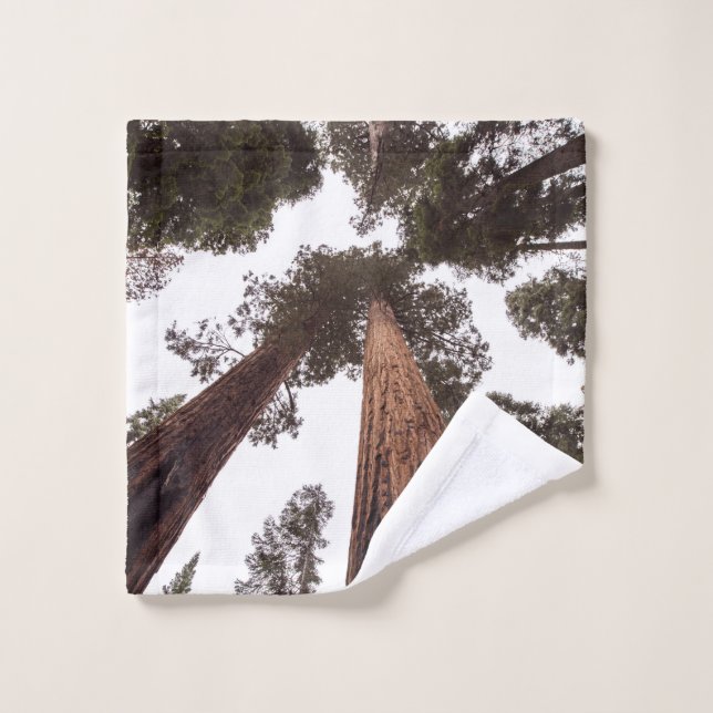 forêt, arbre (Gant de toilette)