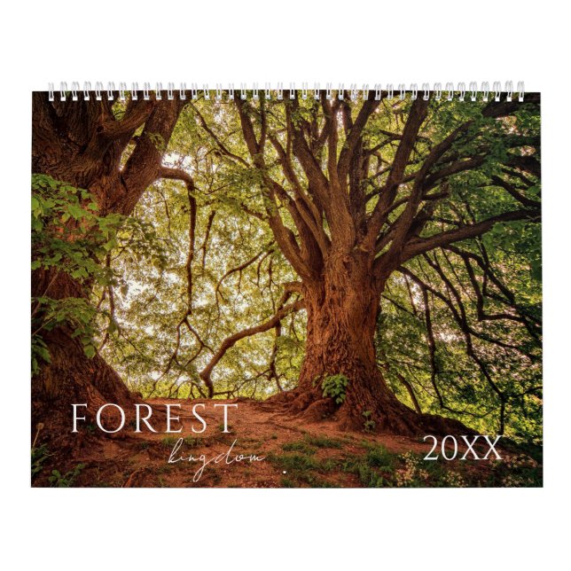 Forêt Bois Paysage Calendrier des quatre saisons (Protection)