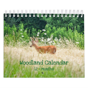 Forêt Créatures Nature Petit Calendrier