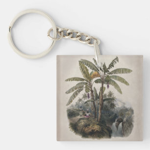 Forêt de bananiers tropicaux antiques   Bota vinta