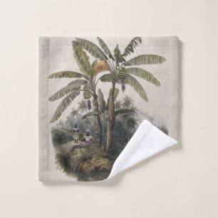 Forêt de bananiers tropicaux antiques Bota vinta
