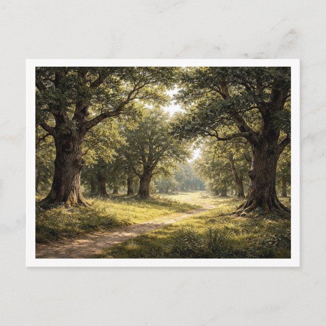 Forêt de chênes. Carte postale (Devant)