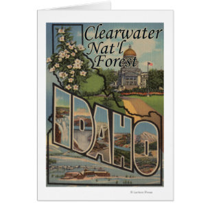 Forêt de Clearwater Nat'l, Idaho