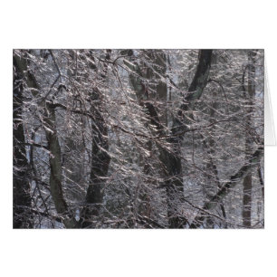 Forêt de l'épaisse glacée dans la lumière du matin