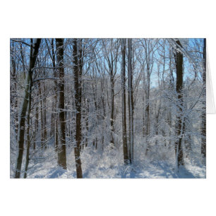 Forêt de peuplier neigeux I