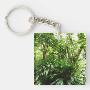 Forêt de pluie dominicaine I Nature verte tropical