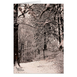 Forêt d'hiver (5,0)