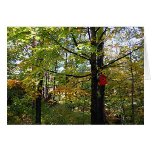 Forêt du nord d'automne d'Orntario