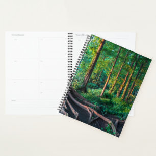 Forêt en été