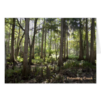 Forêt enchantée, ruisseau Fischauffage