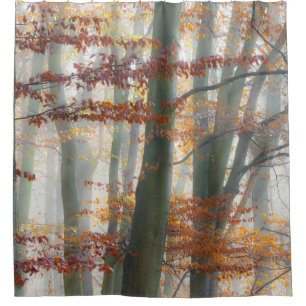 Forêt mystique Foggy en automne - Rideau de douche