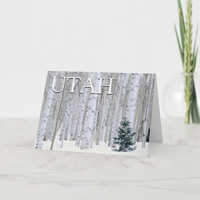 Forêt nationale de Manti-LaSal, Utah | MERCI (Devant)