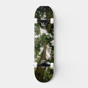 Forêt Perspective Skateboard