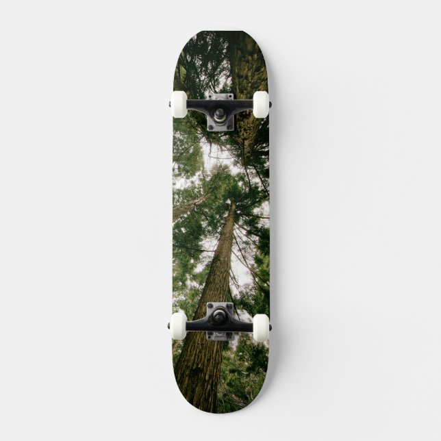 Forêt Perspective Skateboard (Recto)