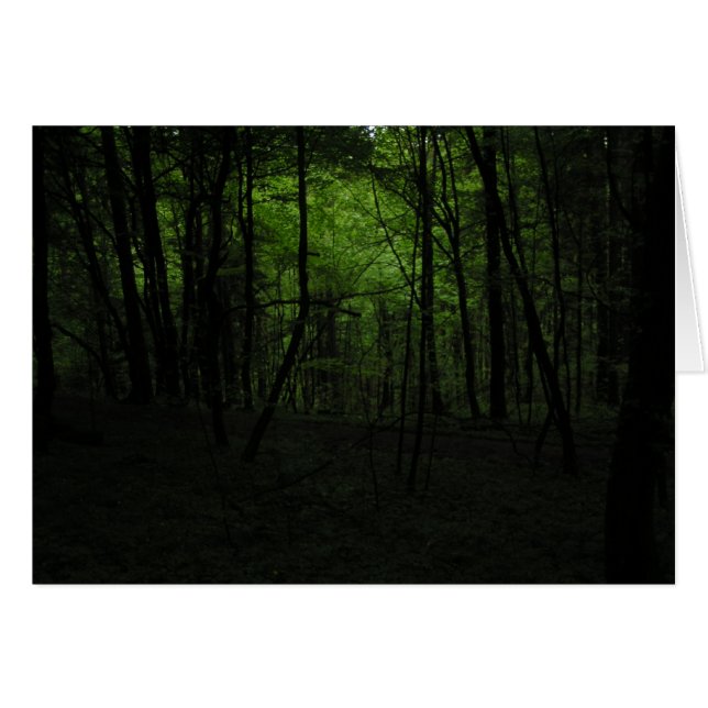 Forêt sombre abandonnée (Devant horizontal)