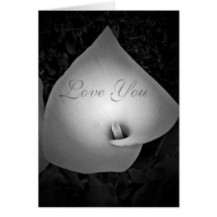 Forever & Always,Liebe_