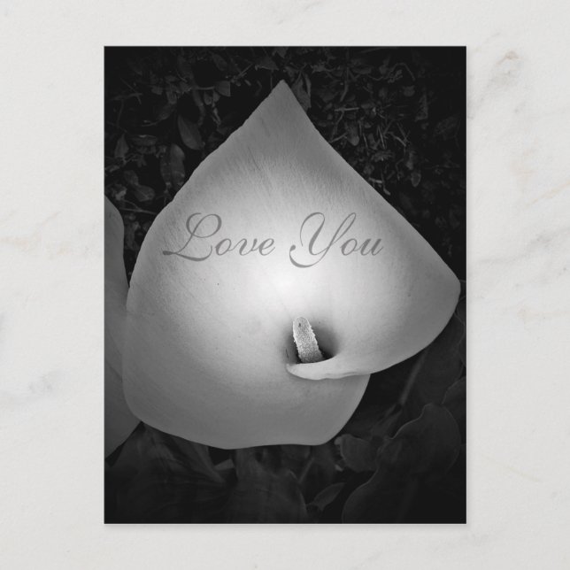 Forever & Always,Liebe_ Postkarte (Vorderseite)