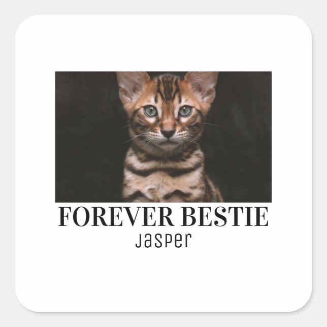 Forever bastie minimilist pet bastie quadratischer aufkleber (Vorderseite)