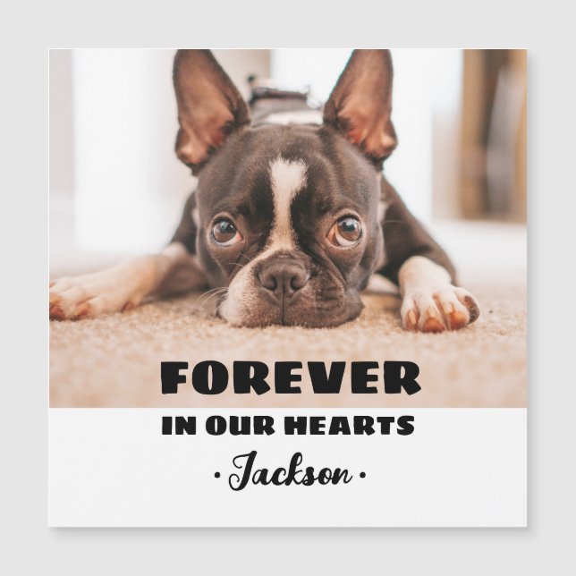 Forever In our Hearts Pet Memorial Carte magnétiqu (Devant)