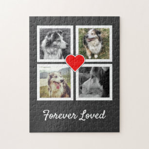 Forever Loved Pet Memorial mit Fotos