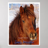 Forever Morgans Simplement Irrésistible Poster Che
