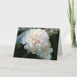 Forever Peony Card Karte