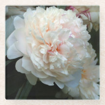 Forever Peony
