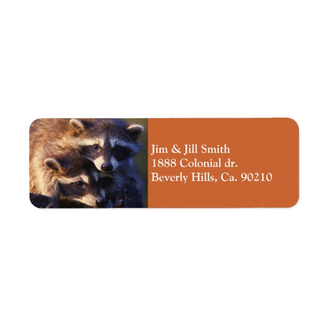 Forever Raccoons (Vorne)