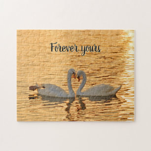 "Forever Yours" Swan Couple bei Sunset Fotografie