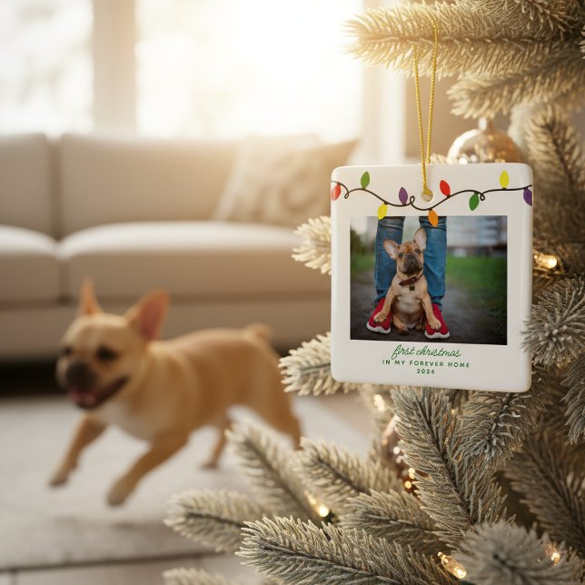 Forever Zuhause First Christmas Pet Rescue Foto Keramikornament (Forever Home First Christmas Pet Rescue Photo Ceramic Ornament)
