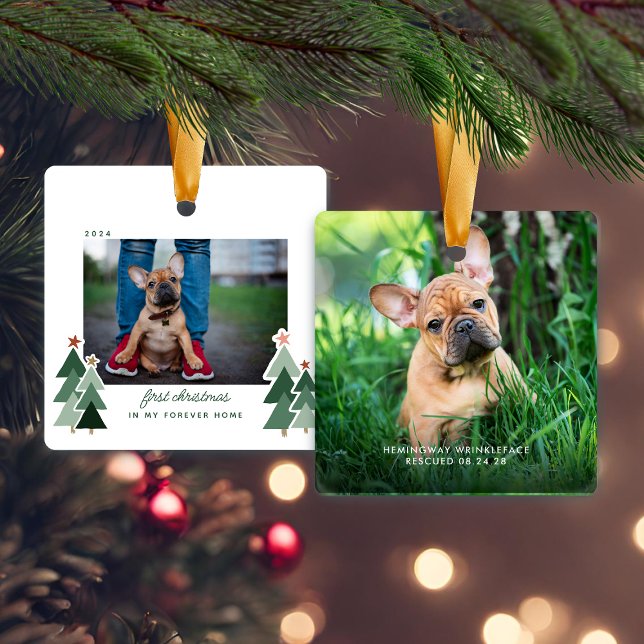 Forever Zuhause First Christmas Pet Rescue Foto Keramikornament (Forever Home First Christmas Pet Rescue Photo Ceramic Ornament)