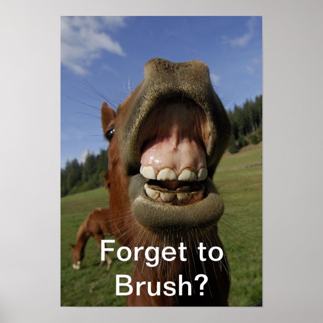 Forget to Brush? Poster (Vorne)