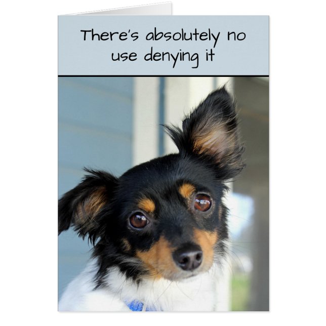 Forgive Me Doggie Cuteness Card (Vorne)