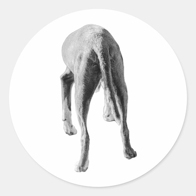 Form und Fluss Runder Aufkleber (Vorderseite)