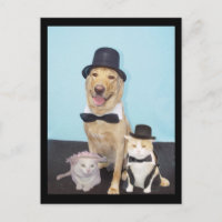 Formale Postkarte