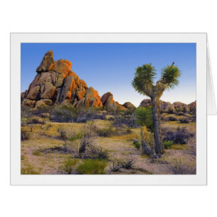 " Formation de Man Rock Slumaging "