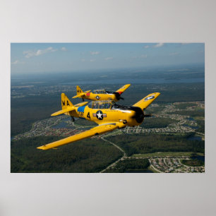 Formation Flying T6 Style Poster
