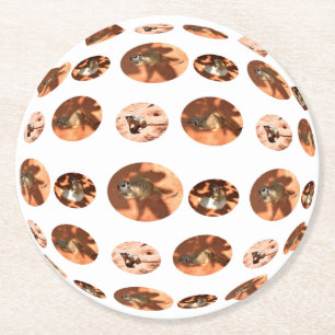 Forme de boule Meerkat, Dessous de verre rond