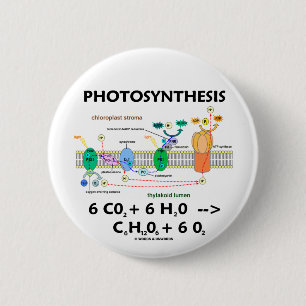 Formel der Fotosynthese-(Chemikalie) Button