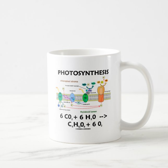 Formel der Fotosynthese-(Chemikalie) Kaffeetasse (Rechts)